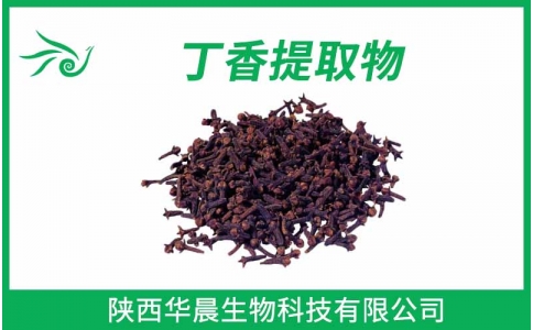 丁香提取物、母丁香提取物、公丁香提取物
