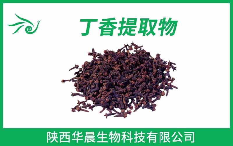 丁香提取物、母丁香提取物、公丁香提取物