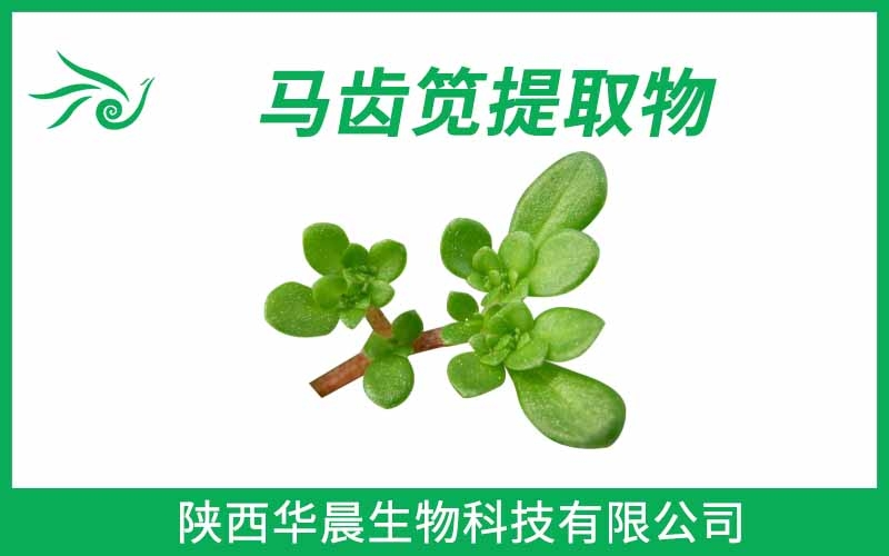 馬齒莧提取物、馬齒筧提取物