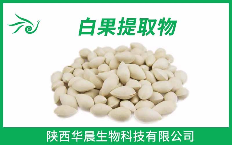 白果提取物