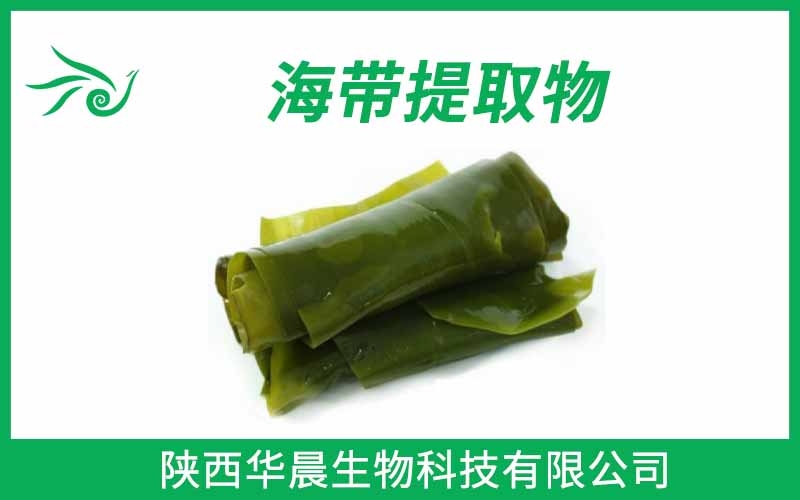 海帶提取物、昆布提取物