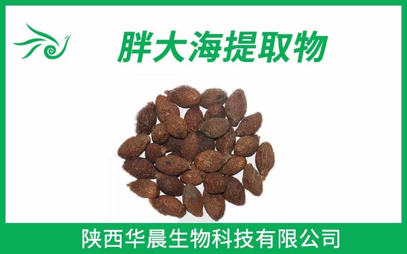 胖大海提取物