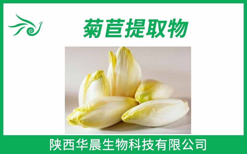 菊粉、菊芋提取物、菊苣提取物