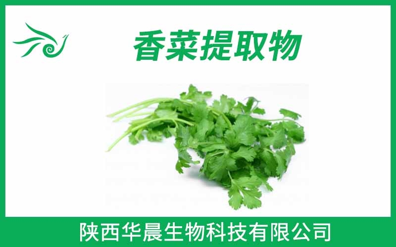 香菜提取物、芫荽提取物