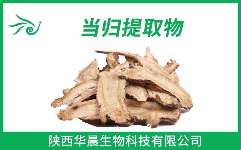 當歸提取物